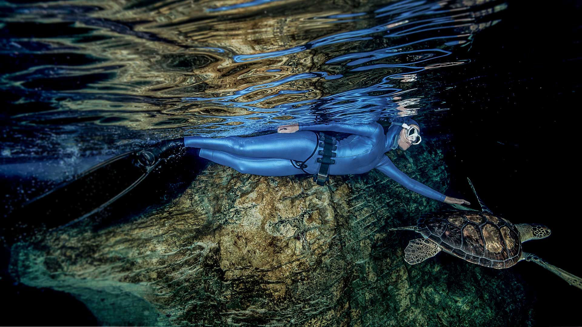 bw-slide-img-swimlikeafish